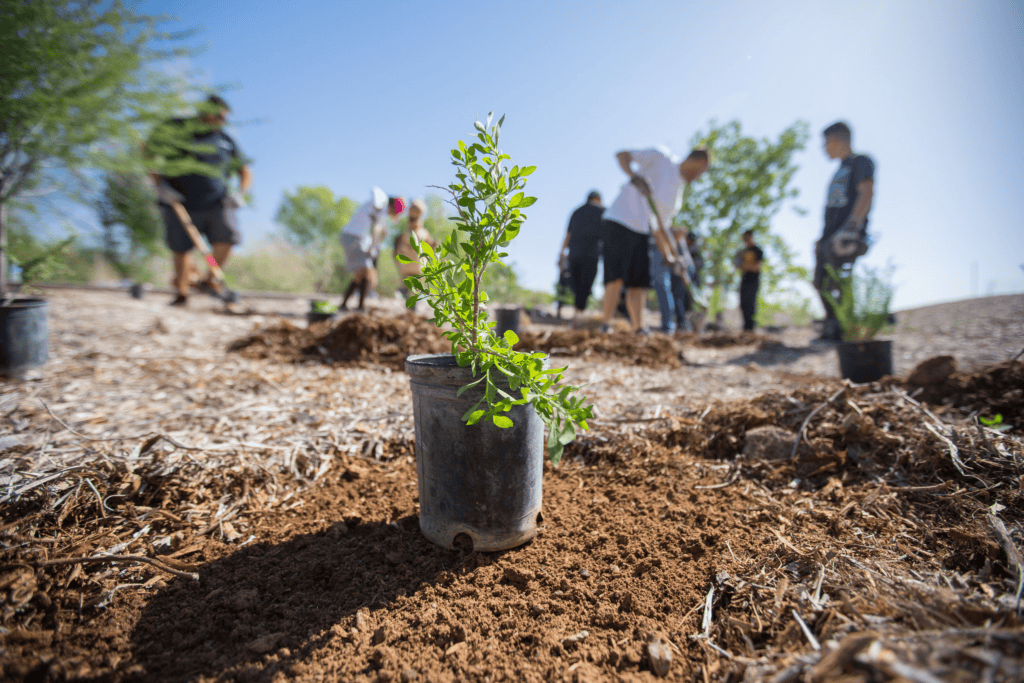 News – Lexicon Bank Features The Nature Conservancy As Its April Community Spotlight