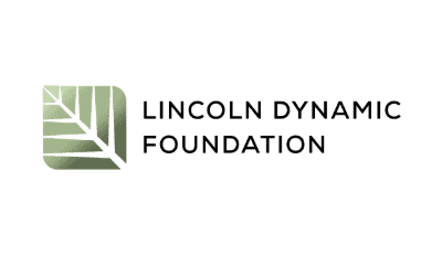 Lincoln Dynamic Foundation